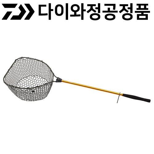 ǰ 