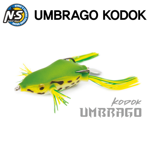 ǰ 