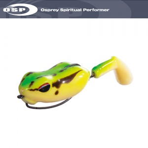 ǰ 