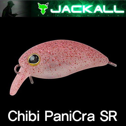ǰ 