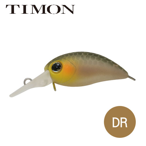 ǰ 