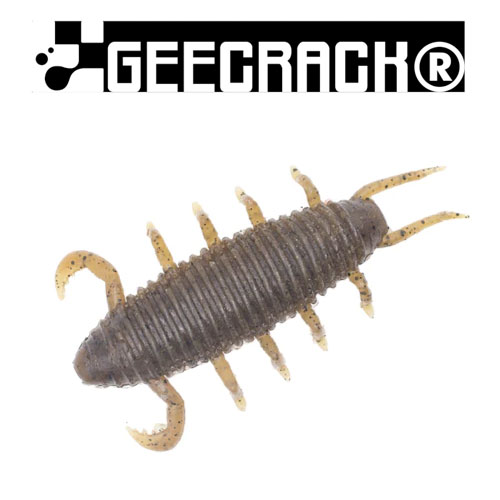 ǰ 