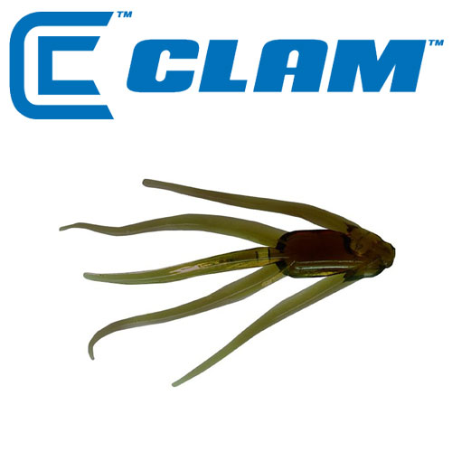 ǰ 