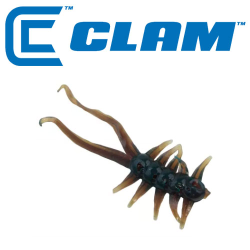 ǰ 
