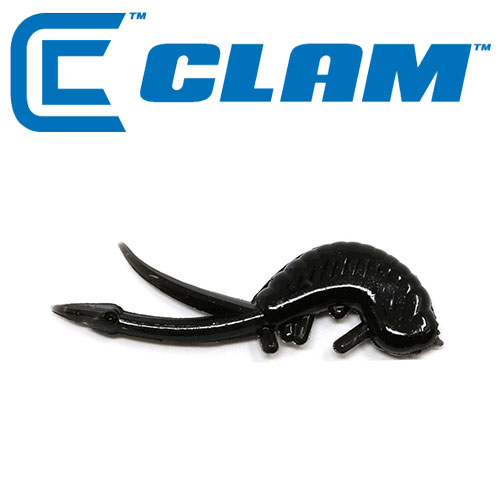 ǰ 