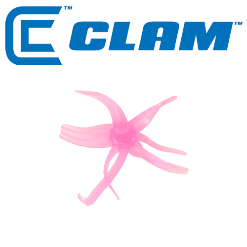 ǰ 