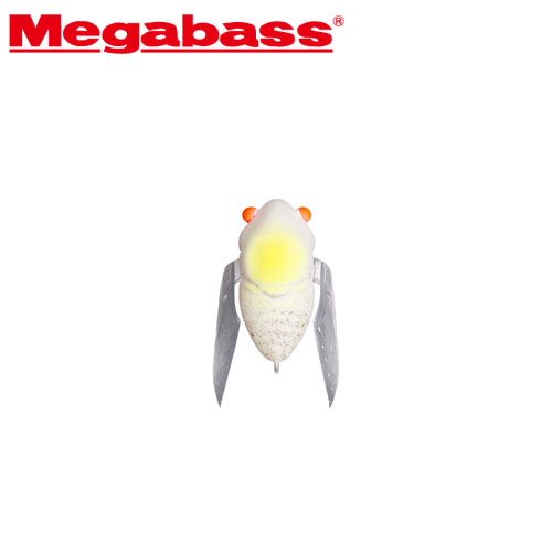 ǰ 