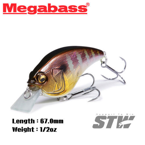 메가배스 소닉사이드/Megabass Sonic Side
