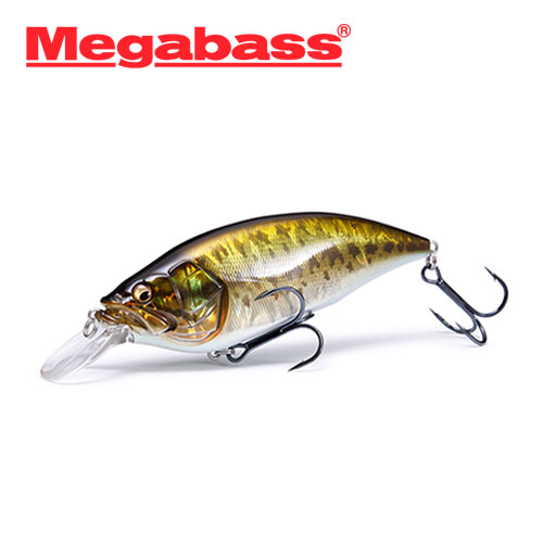 메가배스 빅엠 4.0/Megabass Big-M 4.0