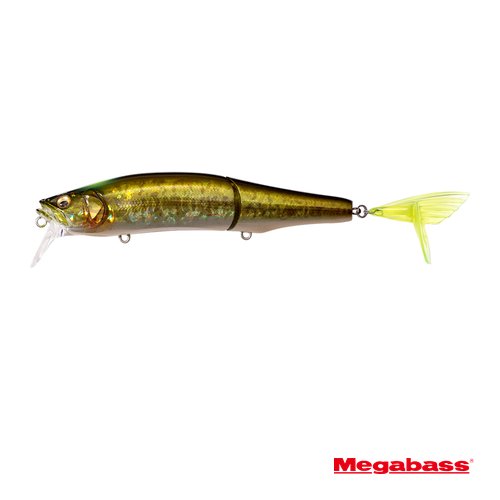 메가배스 고람147F/Megabss Gorham 147F